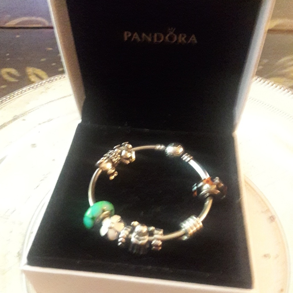 Pandora bangle bracelet  with charms